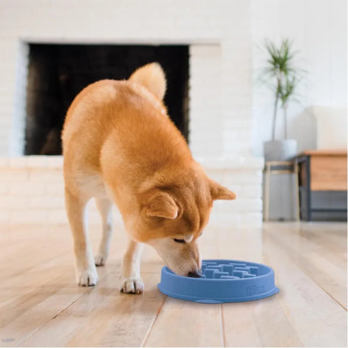 Slow Feeder Bowl for Dogs & Cats