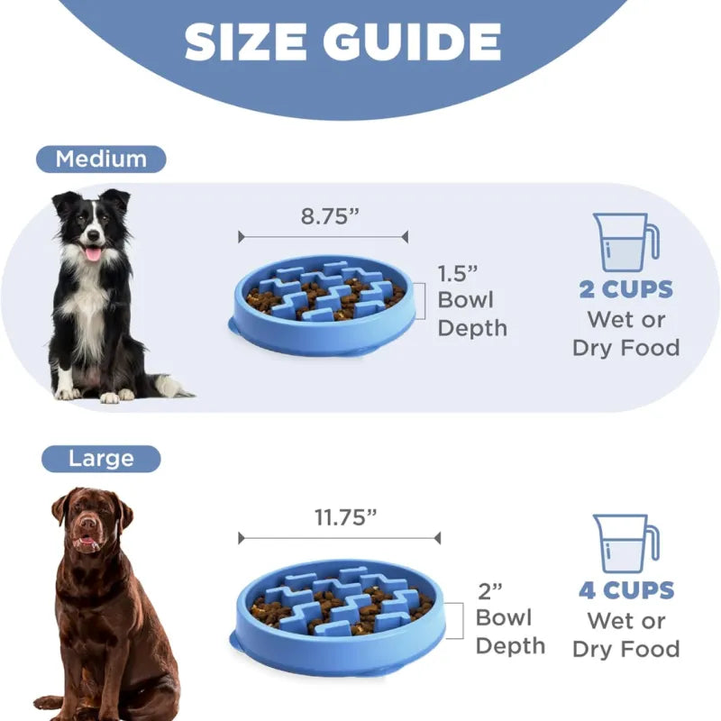 Slow Feeder Bowl for Dogs & Cats
