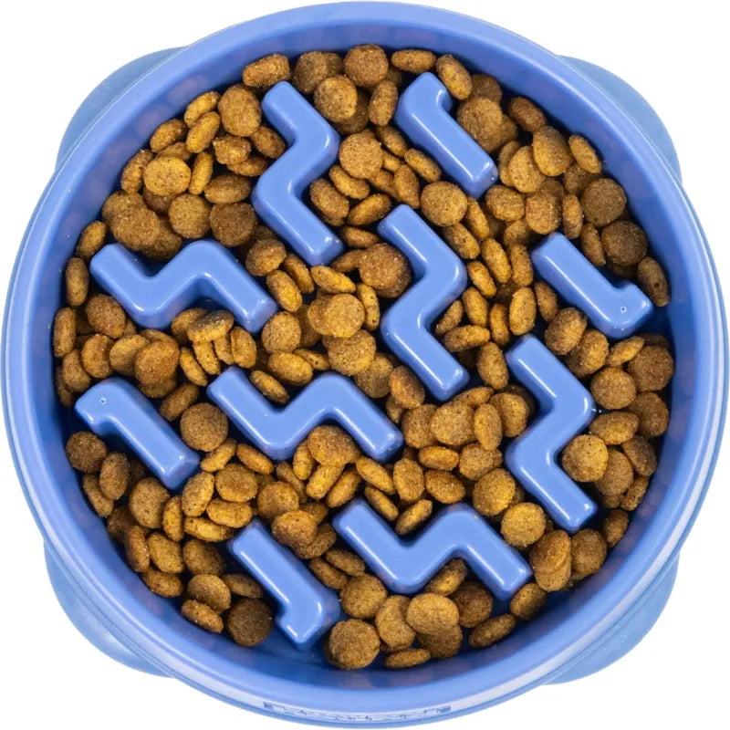 Slow Feeder Bowl for Dogs & Cats