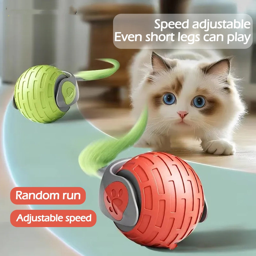 Supplier illustration of a cat with adjustable speed rolling toy balls