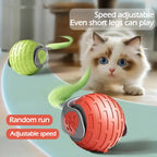 Supplier illustration of a cat with adjustable speed rolling toy balls