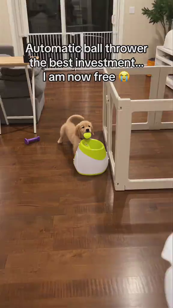 Dog Tennis Ball Launcher for Outdoor Fetch