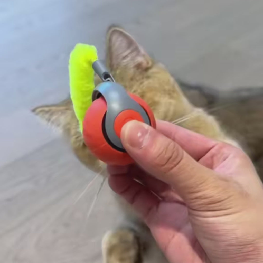 Rechargeable Rolling Cat Ball Toy