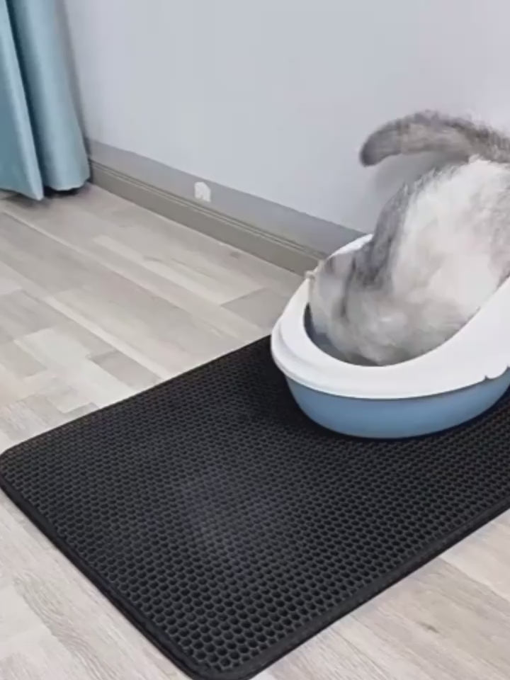 Happy Cat Home Set