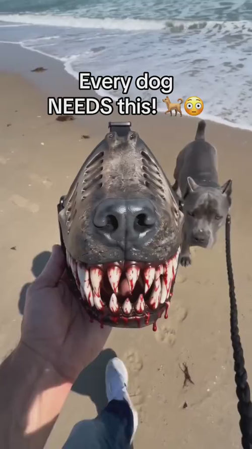 Dog walking in the SpookSnout monster teeth muzzle