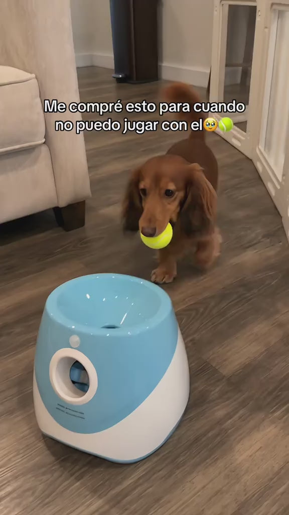 Dog Tennis Ball Launcher for Outdoor Fetch